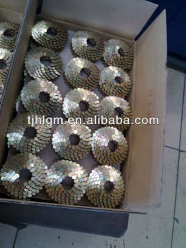 E.G Coil Roofing nails