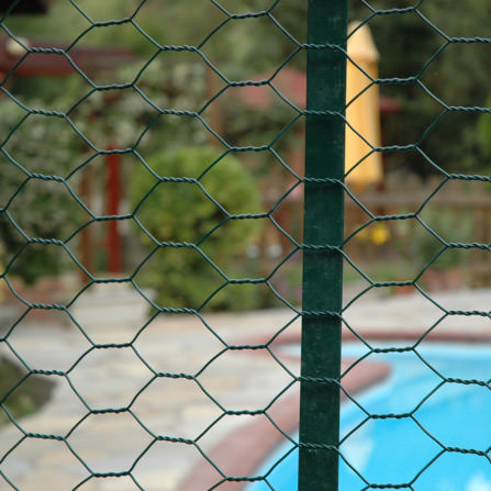 PVC Coated Chicken Wire Netting Peru