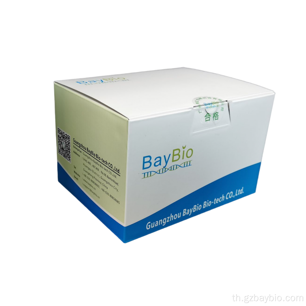 Magnetic endo-toxin พลาสมิดดีเอ็นเอการทำให้บริสุทธิ์ชุด Baybio