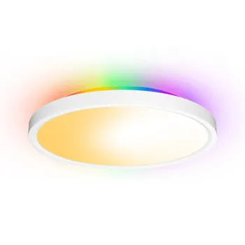 300mm Round Dimmable WiFi Smart Voice Control RGB Ceiling Light for Living Room