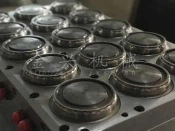 JinXin Brand OEM Customized Disposable Plastic Cup Thermoforming Mold
