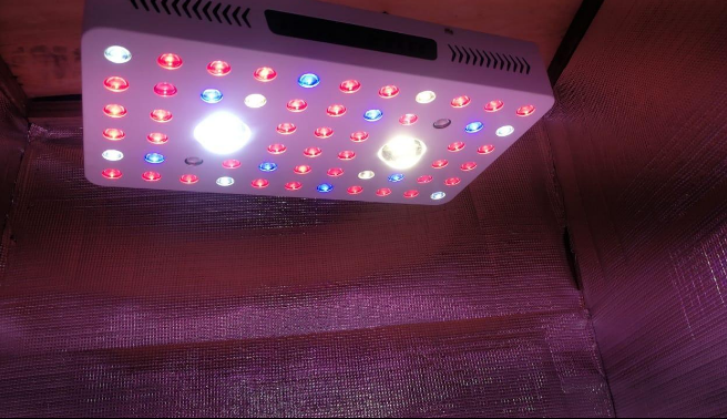 Phlizon Full Spectrum COB Led Grow Lights US