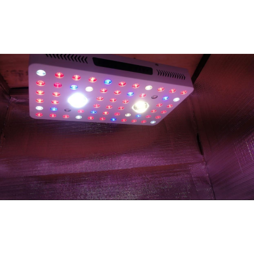 Phlizon Full Spectrum Cob LED Grow Lights AS