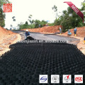 HDPE Geo Cell Web dalla Cina