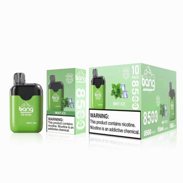 Популярный одноразовый здравоохранение Vape Bang BC 5000 Puffs