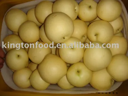 golden pear