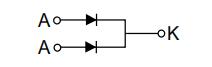 YZPST-SFP2003-1(2)