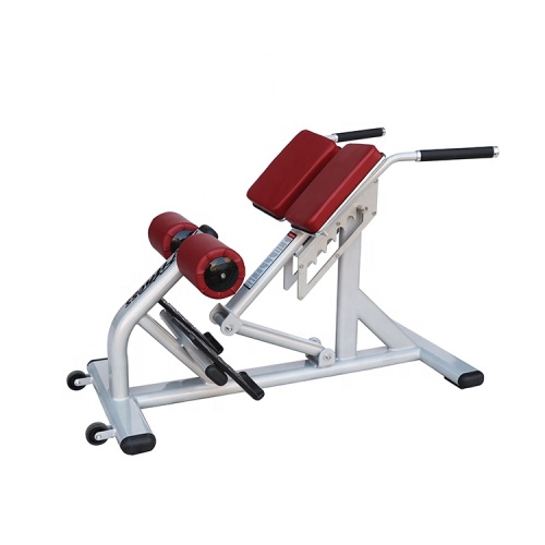 كمال الأجسام ظهر كمال الأجسام قابل للتعديل