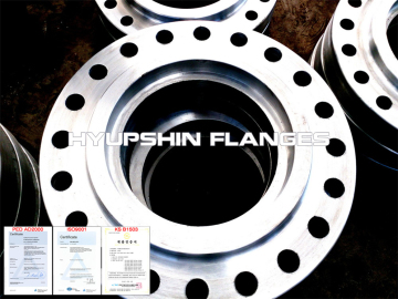 ANSI B16.5 900LBS SWRF Flange