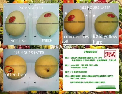 1-MCP Health Fruit Fresher