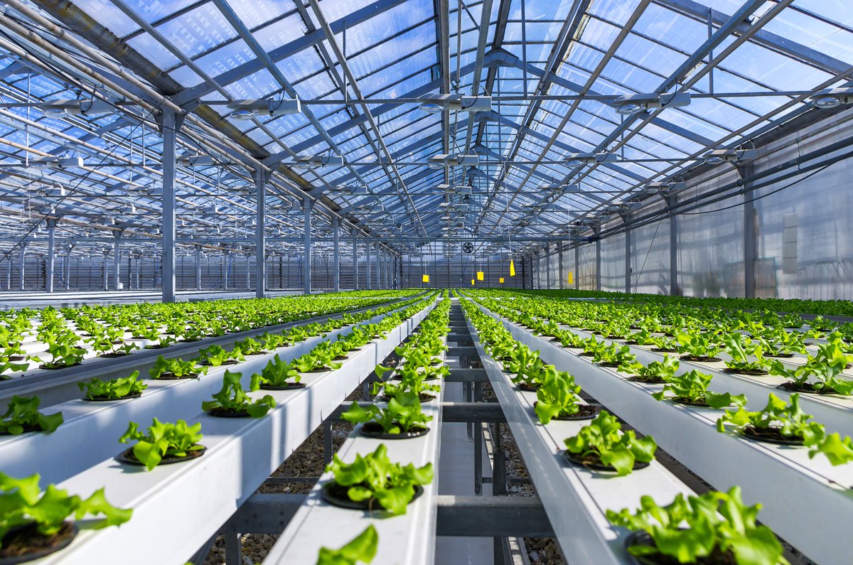 PC in greenhouses