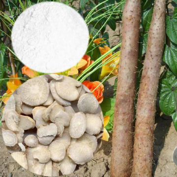 Free Samples Wild Yam Root Extract