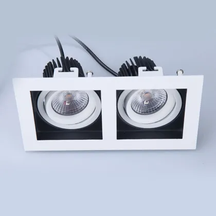 Customizable Double Head Anti-Glare COB Downlight