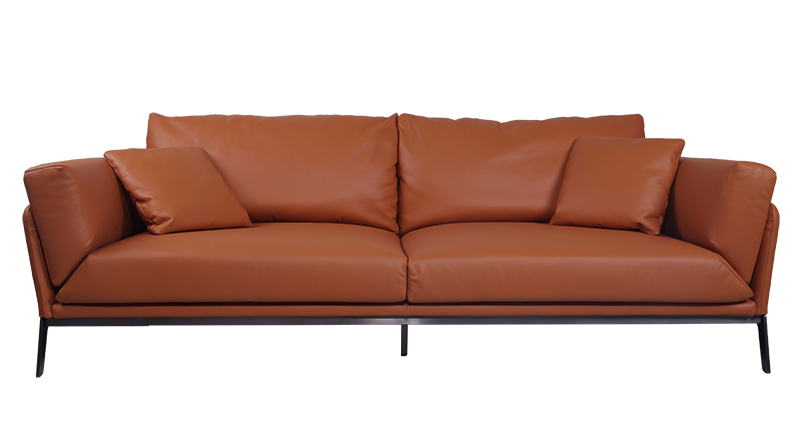 Aniline Leather Sofa