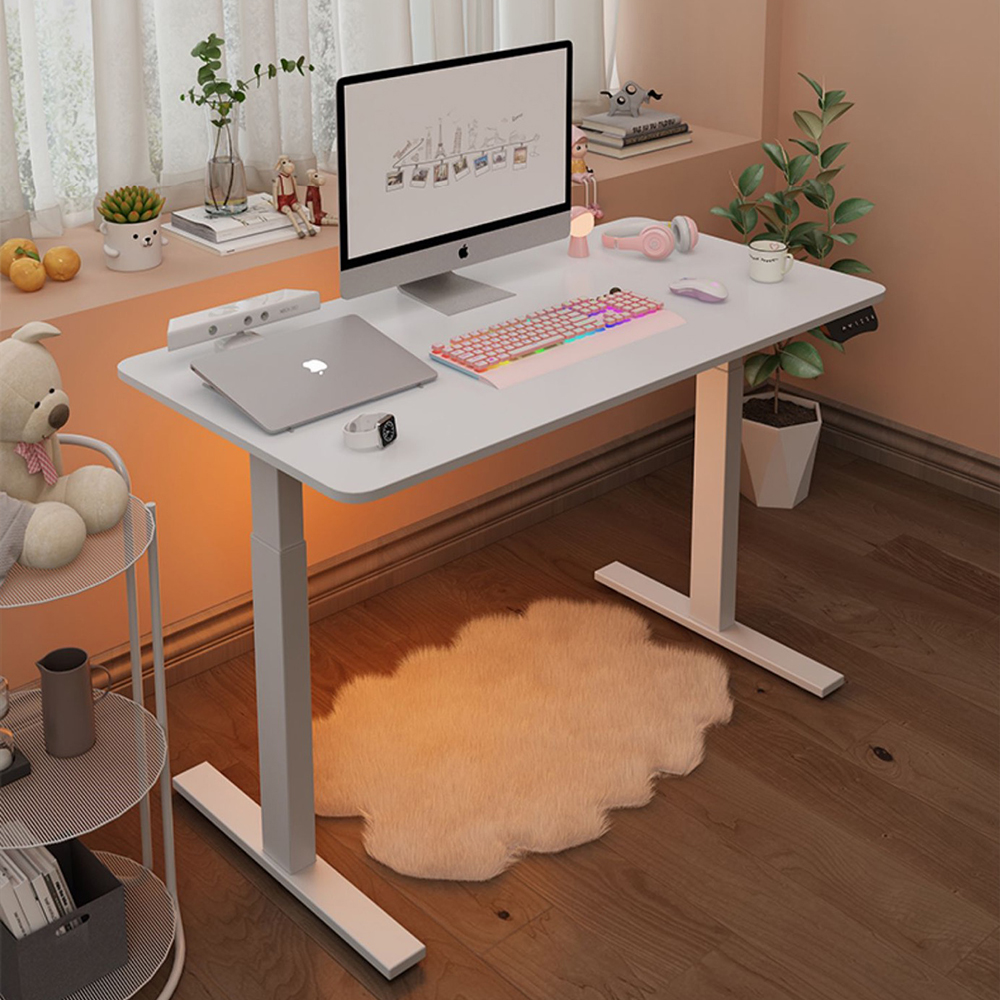 Single Motor Electric Stand Up Desk