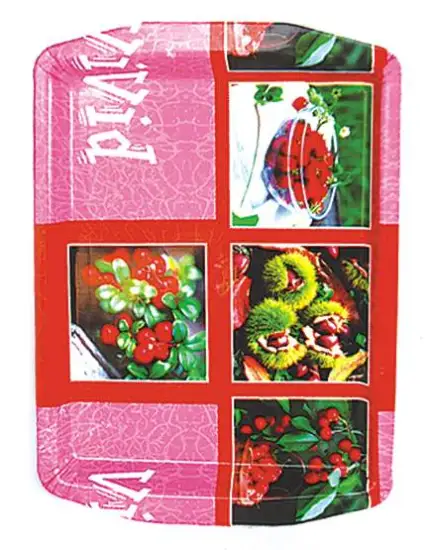 HW9963,PLASTIC PLATE