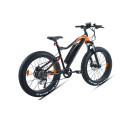 XY-WARRIOR-W E-Mountainbike mit dem besten Preis-Leistungs-Verhältnis