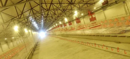 Drinker in poultry farm