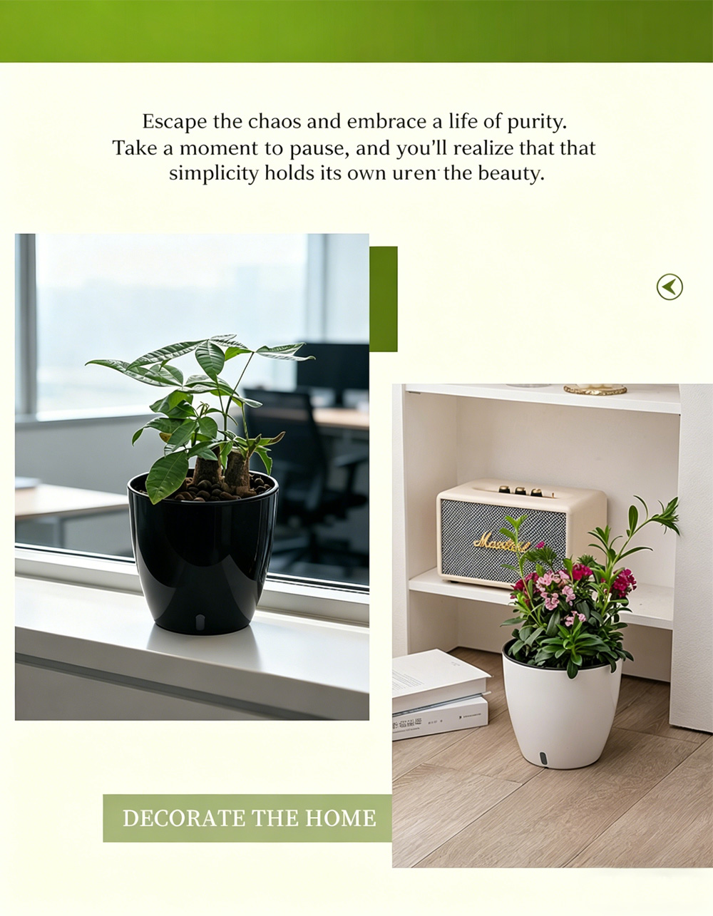 Visible Potted Plant 11