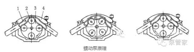 peristaltic pump