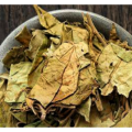 Gymnemic Acid Gymnema Sylvestre Leaf Extract High Quality Gymnema Sylvestre