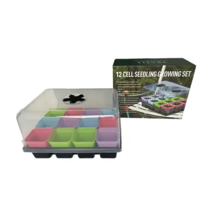 Bulk Nursery Seed Trays with Holes and Dome