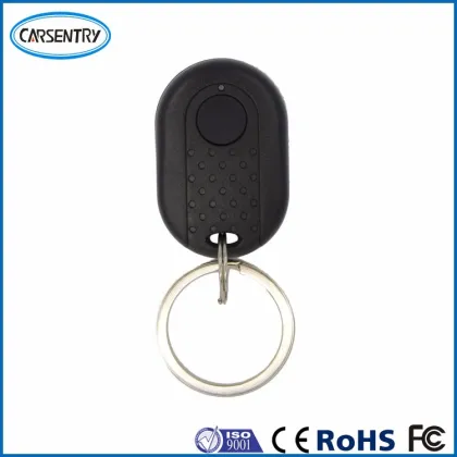 Vehicle immobilizer systems car immobilizer