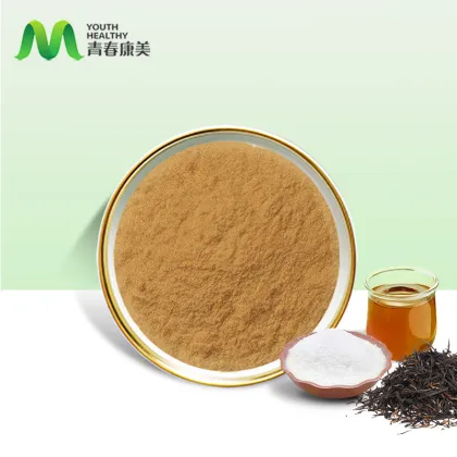 Top Quality Kombucha Tea Powder