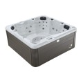 Бесплатный хлор спа-салон 6-го списка Balboa Control Acryl Spa горячая ванна