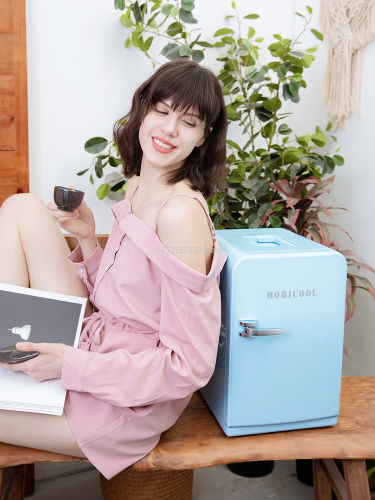 220V /12V Pink 5L Mini Home Car Fridge Mobile Refrigerator Mute Food Grade PP Freezer ABS Aluminum 5-65 Celsius Cold/warm Box