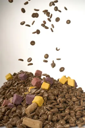 Brand New Floss Filled Donut Multi Freeze Dried Dog Treat: A Delicious Solution for Picky Eaters