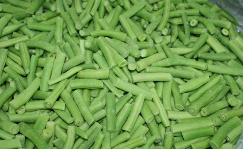 Frozen Green Beans with Competitive Price