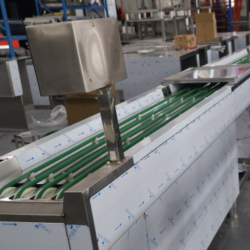 Conveyor Belt Line System Chain Conveyor Control