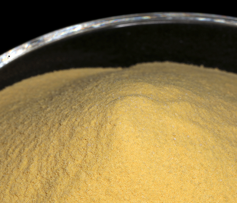 professional Yeast Extract Powder sauce factory