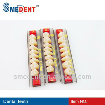 Denture Acrylic Resin Teeth/Composite Denture Teeth