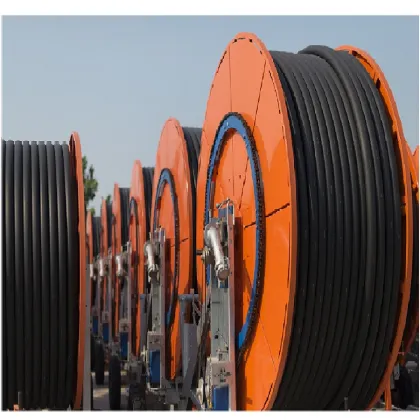 Hose reel Irrigation system definition geography