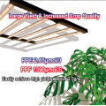 Indoor Greenhouse Garden Vegetable Grow Lights