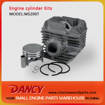 MS200T replacement cylinder kits