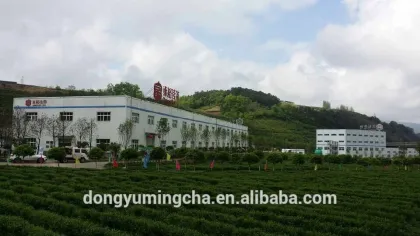 Chinese good quality Milky Oolong Tea Loose leaf Tea