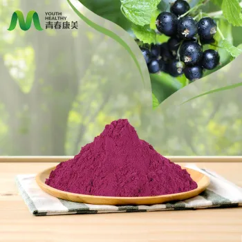 Blackcurrant Extract for Antioxidant Benefits