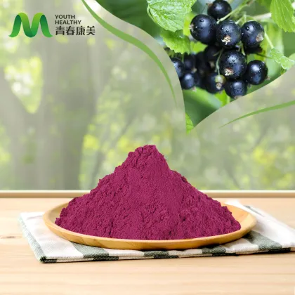 Blackcurrant Extract for Antioxidant Benefits