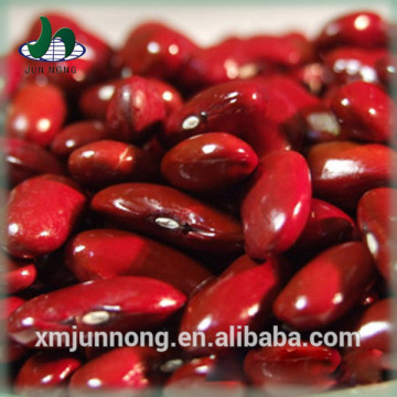 2015 new product high quality nutritious healthy food natural red and white kidney beans for sale