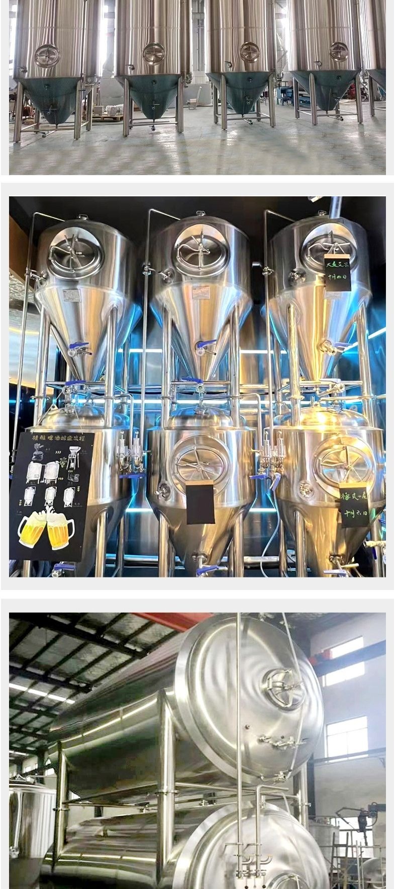 Beverage Fermenter (4)