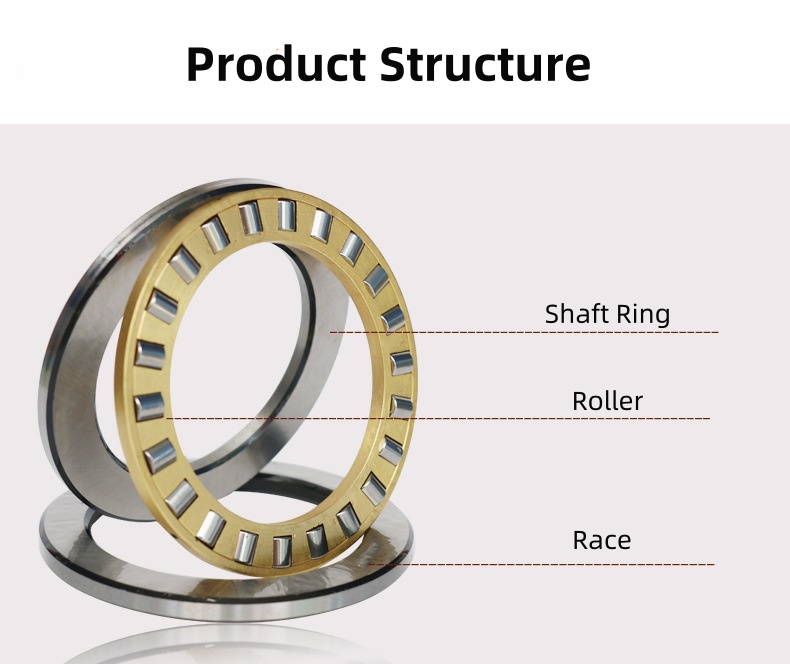 Thrust Roller Bearing (3)