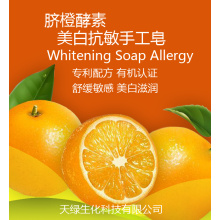 Pure Artificial Production Orange enzyme Hand Soap Manufactory