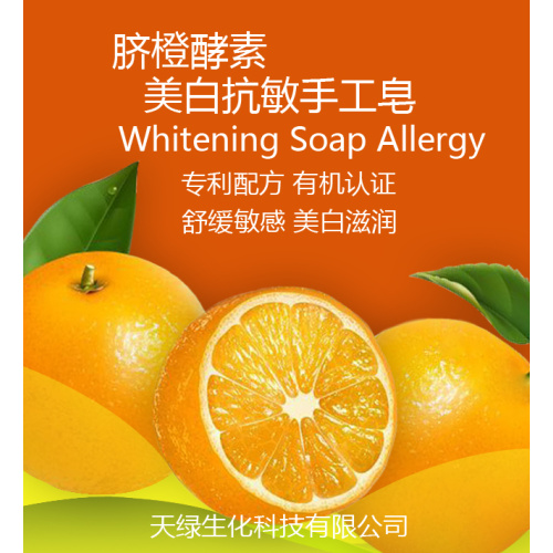 Pure Artificial Production Orange enzyme Hand Soap Supplier