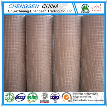 1/4 Hot Dipped Galvanized Welded Wire Mesh