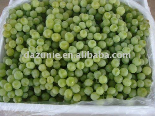 Fresh Grapes