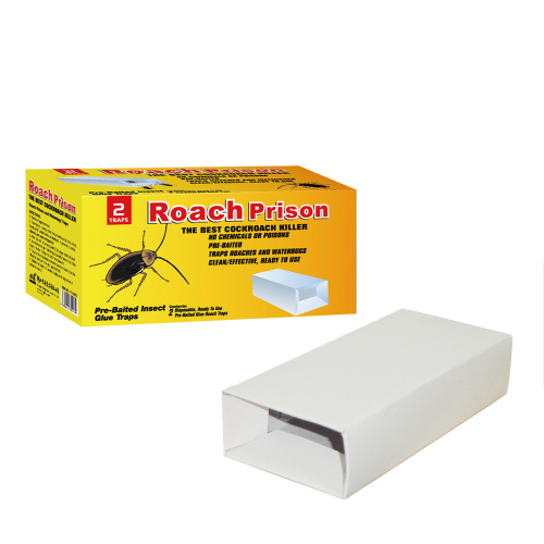 Carbon Board Roach Glue Prison, High Quality Carbon Board Roach Glue