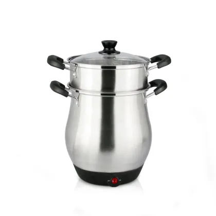 Energy Saving Multi-functional Double Layer Electric Steamer